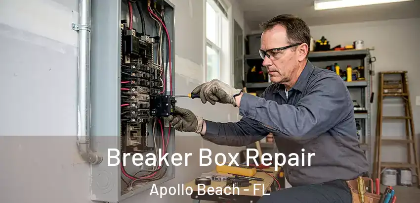 Breaker Box Repair Apollo Beach - FL