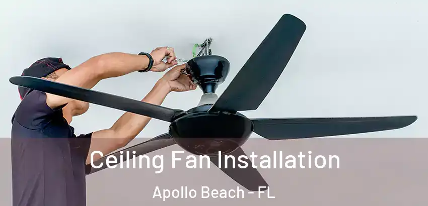 Ceiling Fan Installation Apollo Beach - FL