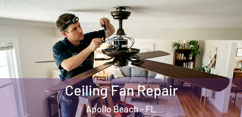 Ceiling Fan Repair Apollo Beach - FL