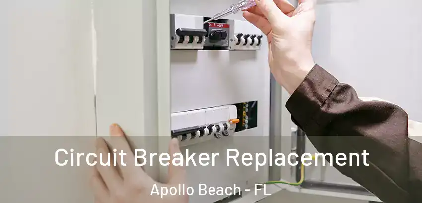 Circuit Breaker Replacement Apollo Beach - FL