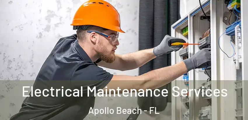 Electrical Maintenance Services Apollo Beach - FL