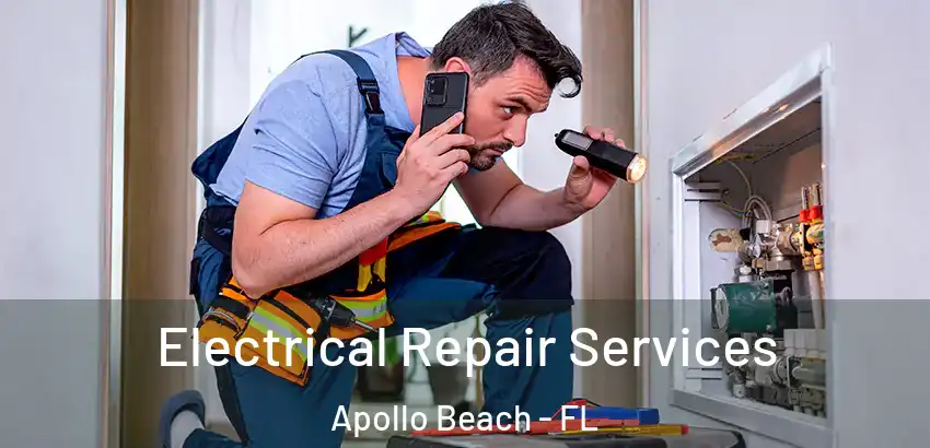 Electrical Repair Services Apollo Beach - FL