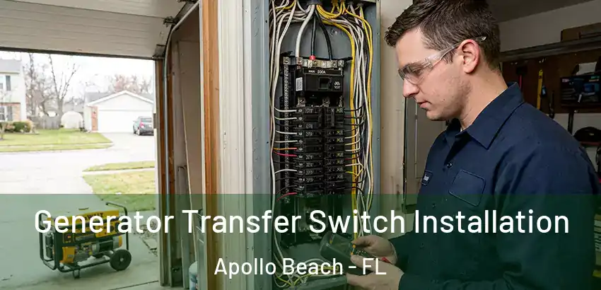 Generator Transfer Switch Installation Apollo Beach - FL