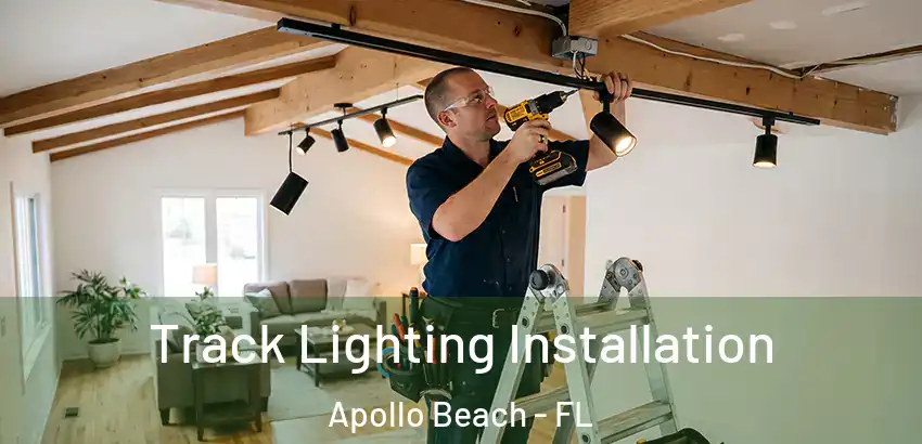 Track Lighting Installation Apollo Beach - FL