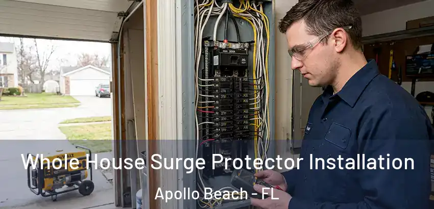 Whole House Surge Protector Installation Apollo Beach - FL
